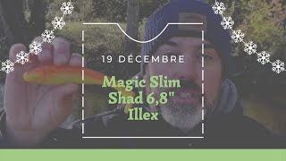 L'ADVENT'LURES 3,5-6" 19 Décembre: Magic slim shad 6,8" - Illex