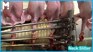 🦃 Meyn® Turkey Meat Processing in Factory - Modern Poultry Processing Food Machinery Technology