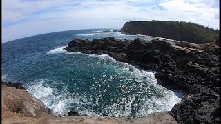 Exploring Hawaiian Shoreline, whales