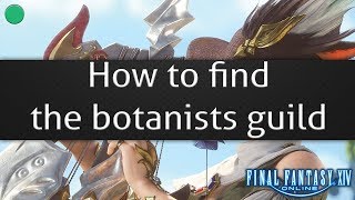 How to find the botanists guild - Final Fantasy XIV online