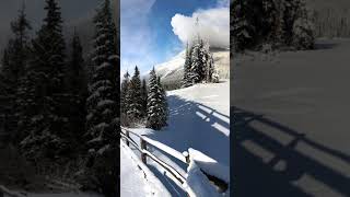 Winter in Canada 🇨🇦 Jasper National Park. #snow #nature #winterwonderland