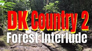 Donkey Kong Country 2 Forest Interlude Remix | Jungle River Meditation