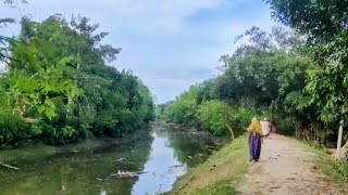 ক্যানেলের চোখ ধাঁধানো রাস্তার দৃশ্য || Eye catching street view of the canal.