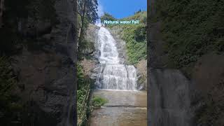 Natural water fall view point at Kodaikanal silver cascade falls #nature #forest #relaxing #natural