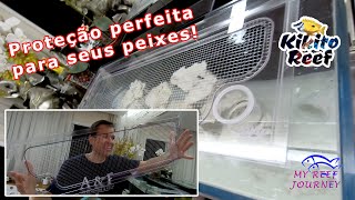 Tela de proteção perfeita para os peixes by Kikito Reef