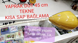 45 lik kısasap Dut yaprak bağlama.