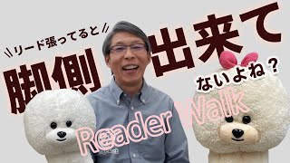 【犬のしつけ】リードが張っていたら脚側行進できてないよね？【悩み相談ライブ切り抜き】