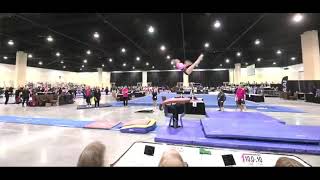 Guilianna Fiorillo 9.9 Vault Development Program National Championships