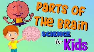 Parts of the Brain | Science for Kids