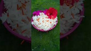 পুজোর ফুল 🙏 #shorts #reels #shortfeed #shiuli #hibiscus #shortvideo #ytshort #viralshort