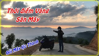 THỜI ĐIỂM VÀNG SĂN MÂY THÀNH CÔNG | ĐỒI MÂY LỘC THÀNH - BẢO LỘC