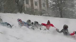 Snow Day Sledding at Sweet Briar