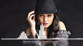 | Bhaage Re Maan | Sunidhi Chauhan |