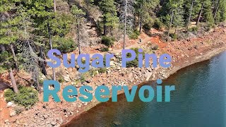 Sugar Pine Reservoir| A Short Film