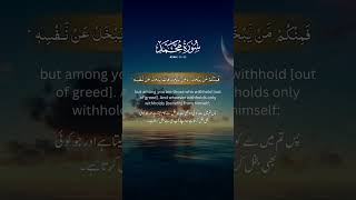 Surah Muhammad #explore #qurantilawatbeautifulrecitation #quranrecitation