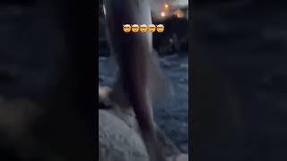 Caught a BIG FISH🤯🤯🤯 #fishing #shorts #fish #viralshorts #trending #viral #trend #viralvideo