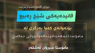 نوێ📌فائیدەیەکی شێخ ڕەبیع خوای گەورە بیپارێرێت ️🎙مامۆستا سیروان ئەشقەڕ هەولێر(خوای گەورە بیپارێزێت) 