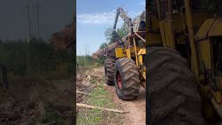 Tree farmer C5 forwarder #detroitdiesel #cancar #treefarmer #shorts