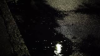 Puddle of water in the rain | FREE DOWNLOAD #NoCopyright 4k #StockFootage