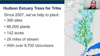 Breakfast Webinar: Hudson Estuary Trees for Tributaries Program