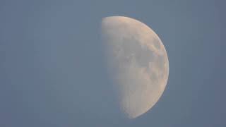 Moon 59 % illuminated in First Quarter. August 13, 2024, Tuesday.