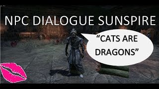 Cats are Dragons! NPC dialogue from Sunspire Trial