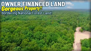 Geez! Owner Financed Land ON the National Forest for $1,500 Down -  ID#DB16 - InstantAcres.com