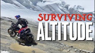 Himalayan Hero  "The Return"  EP 3 India Royal Enfield Himalayan 450