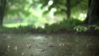 Rain Sounds for Relaxation