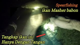 Nembak ikan Masher dan menangkap ikan dengan tangan