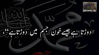 shaitan tumhare under aise hi dorrta h Jese khoon jisam Mai ||farman e nabwiﷺ