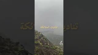 ١٩ يناير، ٢٠٢٢