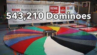 Satifiying 500,000 Dominoes Falling - World Record