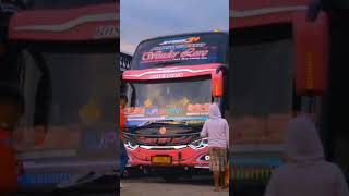 STORY WA CINEMATIC BUS KUPU KUPU AYU