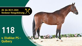 No. 118 Stallion by Diablue PS - Quibery | Verden Stallion Licensing 2024- Jumping - Nov. 29/30