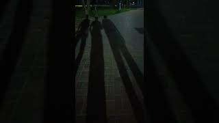 Walking with Friends #bangladesh #shadow #walkthrough #night #friends #omar #alves #ramnapark #reels