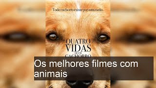 Top 10 Filmes Incríveis com Animais que Você Precisa Assistir!