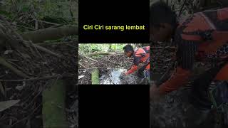 begini cara ikan lembat monster makan pancing #mancing #lembatmonster