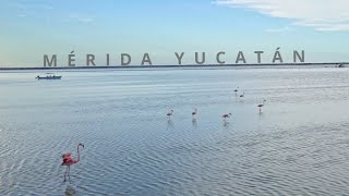 MÉRIDA YUCATÁN, MÉXICO - 4K AERIAL DRONE FOOTAGE