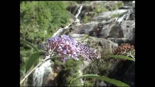 SPONDE WATERFALL SWITZERLAND