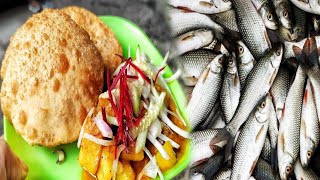 Unique food Fish stuffed Kachori North Kolkata Special street food video Indian