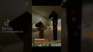 enderman and jamal minecraft staredown