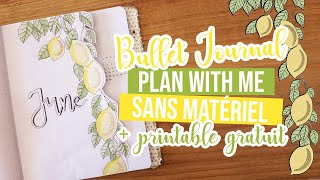 PLAN WITH ME JUIN | Faire un bullet journal sans matériel (+ printable gratuit)