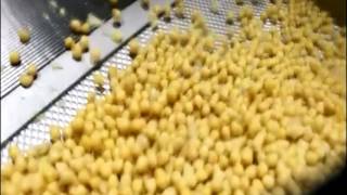 Lyco Pressure-Flow® - Cooking Chick Peas