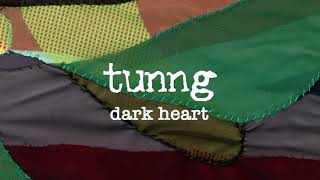 tunng - dark heart [Official Audio]