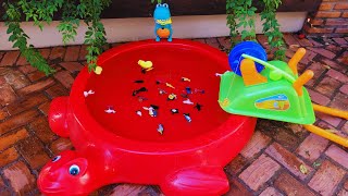 BIRDS FOR KIDS - TOYS, NAMES AND VIDEOS