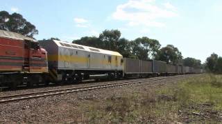 Standard Gauge Trains Victoria - CLF3, CLF9 & RL310 power near Glenrowan - 16/01/2011