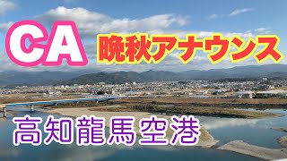 晩秋のCAアナウンス 雄大な太平洋上空から高知竜馬空港への着陸とJALのCAさんのアナウンス