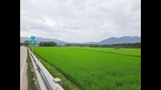 #190 【Around Taiwan On Foot】《Hualien》Fenglin ，Taibalang，Guangfu【21 KM】【East Longitudinal Valley】