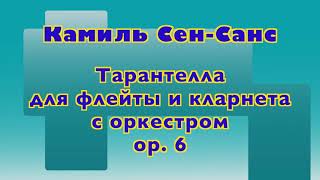 К. Сен-Санс. Тарантелла для флейты и кларнета с оркестром ор. 6. Дирижёр Павел Опаровский 22/07/2022